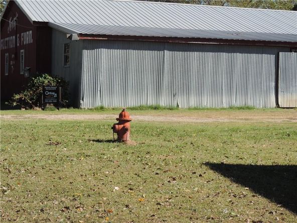 600 E Beaumont Ave, Cooper, TX 75432